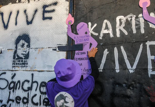 Ноября 2023 Года Мехико Мексика Женщина Принимает Участие Демонстрации Посвященной — стоковое фото