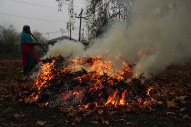 27 Kasım 2023, Srinagar Kashmir, Hindistan: Kaşmirli bir kadın Srinagar 'da kuru çin yaprağı yakıyor. Kashmiriler günümüzde ağaçlardan düşen kuru yaprakları toplar ve onları yakarak kömür üreterek yanıcı madde olarak kullanırlar.