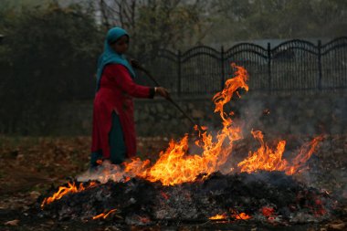 27 Kasım 2023, Srinagar Kashmir, Hindistan: Kaşmirli bir kadın Srinagar 'da kuru çin yaprağı yakıyor. Kashmiriler günümüzde ağaçlardan düşen kuru yaprakları toplar ve onları yakarak kömür üreterek yanıcı madde olarak kullanırlar.
