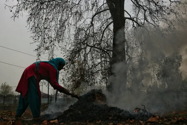 2023年11月27日 インドのシュリンガル カシミール カシミールの女性がシュリンガルで乾燥したチナリーの葉を燃やします 最近のカシミリスは木から落ちた乾燥した葉を集め 炭を燃やして焼く — ストック写真