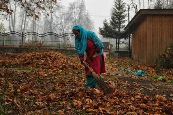 2023 Srinagar Kašmír Indie Kašmírská Žena Pálí Suché Čínské Listy — Stock fotografie