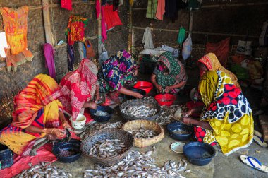 4 Aralık 2023 Sylhet-Bangladeş: Kadınlar Sylhet, Bangladeş 'in Lama Kazi bölgesinde kurutulmuş balık işlemekle meşguller. Mevsimlik kuru balık tüccarları Sylhet 'in Lama Kazi bölgesinde balık kurutmakla meşguller.