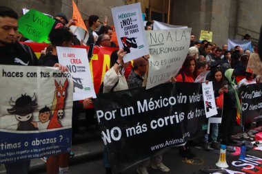 6 Aralık 2023, Mexico City: Hayvan Hakları Koruma Derneği üyeleri, Bakan Yasmn Esquivel Mossa 'nın Plaza Mxico' daki boğa güreşine geri dönmeyi amaçlayan projesini protesto etti