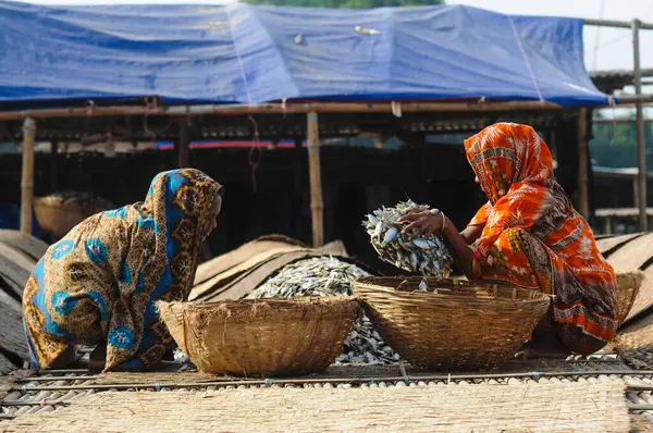 December 2023 Sylhet Bangladesh Women Busy Processing Dried Fishes Lama — Stock Photo, Image