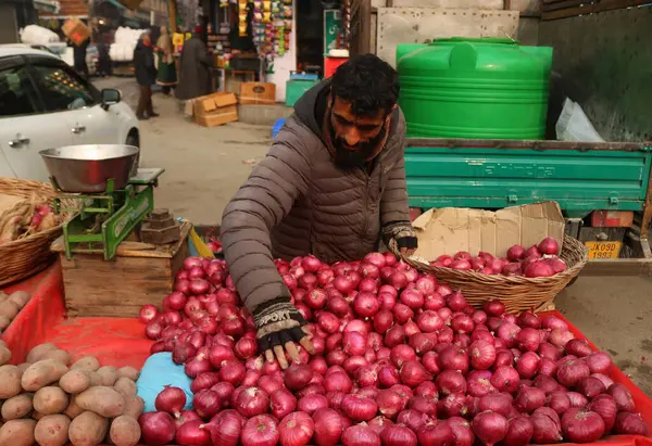 Dicembre 2023 Srinagar Kashmir India Venditore Organizza Cipolle Mercato Srinagar — Foto Stock
