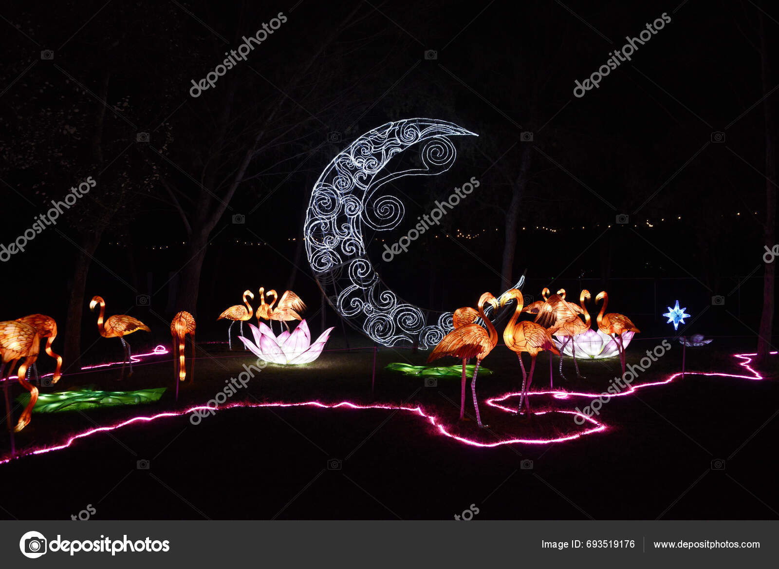 December 2023 Mexico City Mexico Tourists Take Advantage Christmas