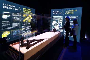 December 18, 2023 in Mexico City, Mexico: People take a tour of the exhibition 'Beyond Tutankhamun, the immersive experience', which reconstructs the tomb and treasures of Pharaoh Tutankhamun clipart