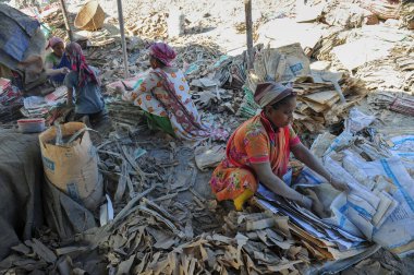19 Aralık 2023 Sylhet-Bangladeş: Bangladeş 'in Sylhet kentindeki Surma Nehri' nin yanındaki çimento çuvallarında çalışarak ailesi için fazladan para kazanmak için çalışan bir çocuk hayatını riske atıyor