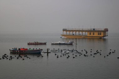 13 Ocak 2024, Srinagar Kashmir, Hindistan: Göçmen kuşlar Srinagar 'daki Dal gölünün sularında yüzerler. Her yıl, Orta Asya ve Sibirya 'dan binlerce göçmen kuş kış mevsiminde Kaşmir Vadisi' ne ve Hindistan 'ın diğer bölgelerine göç eder.. 