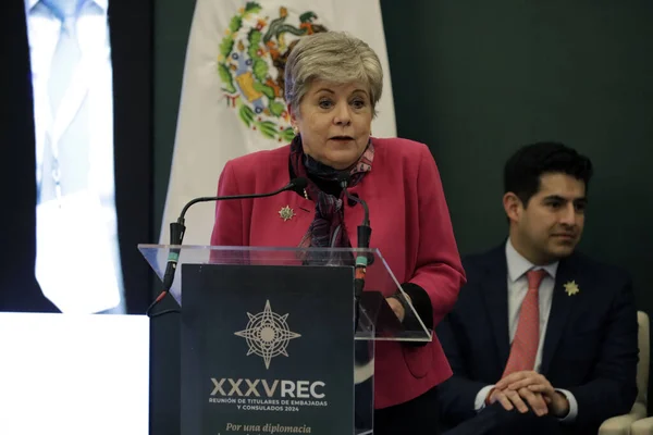 Janeiro 2024 Cidade México México Chanceler México Alicia Barcena Preside — Fotografia de Stock