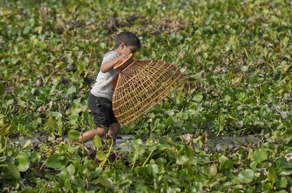 Janeiro 2024 Bangladesh Crianças Pescando Com Armadilha Peixe Bambu Beel — Fotografia de Stock