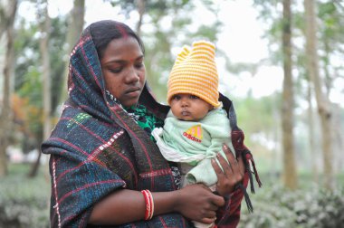 17 Ocak 2024 Sylhet-Bangladeş: Soğuk bir sabah Tarapur Çay Bahçesi 'nde gardiyanın kucağında bir çocuk. Sylhet 'te kış mevsiminin şiddetinin artması nedeniyle çocuklar ve yaşlılar acı çekiyor. 