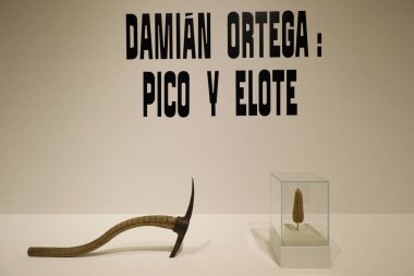 9 Nisan 2024. Mexico City, Meksika: Damian Ortega 'nın bir sanat eseri Palacio de Bellas Sanat Müzesi' ndeki Pico y Elote sergisinde görüldü..
