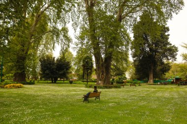 Bir adam, Srinagar 'da bir parkta çiçek açan The Bellis Perennis çiçeğini (yaygın papatya) izlerken bankta dinlenir. 18 Nisan 2024 tarihinde, Srinagar, Kashmir, Hindistan