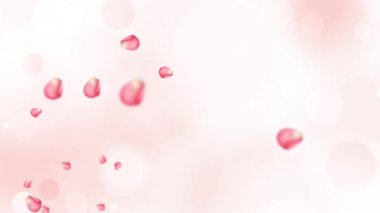 Pembe gül yaprakları uçuşuyor. Japon Sakura yaprakları dökülüyor. Bahar dekorasyonu arka planı. Kiraz çiçekleri. Paskalya. Düşen çiçekler gibi. 4K alfa kanal mat.