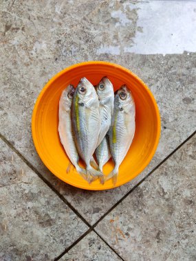 Turuncu kasedeki taze sarı şeritli scad balığının fotoğrafı. Üst Manzara. Reklam için uygun, piyasa tanıtımı, vs..