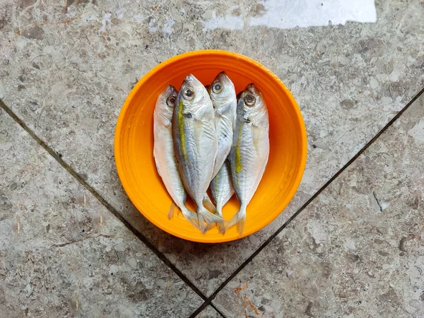 Photograph Close Fresh Yellow Stripe Scad Fish Orange Bowl Top — Stock Photo, Image