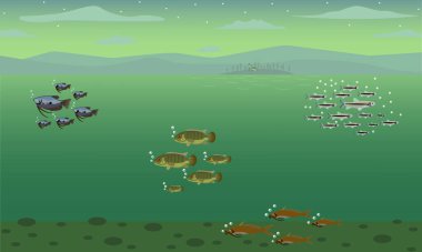 Doğal göl ortamının çizim vektörü grafiği. Tasarım ögeleri, poster vs. için uygun.