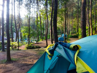 Çam ormanındaki huzurlu kamp alanının fotoğrafı.