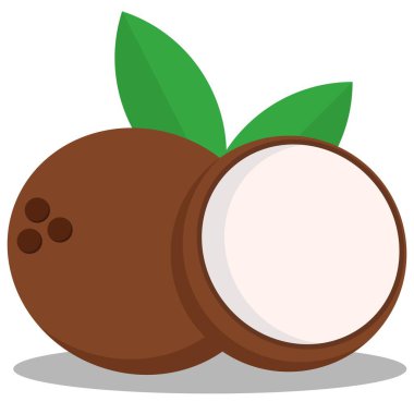 Beyaz arka planda izole edilmiş taze hindistan cevizi meyvesi grafiği. Düz tasarım