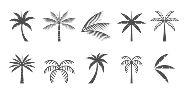 Set Von Palm Logo Icon Vektor Mit Kreativem Element — Stockvektor