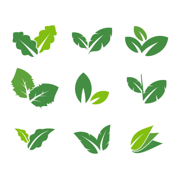 Set Leaf Logo Design Element Vector Unique Shape — Stock Vector