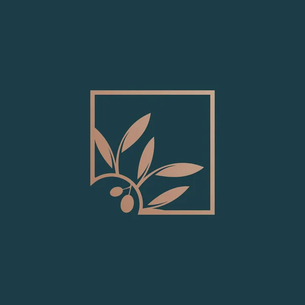 Olive Logo Design Icon Element Vektor Mit Kreativem Modernem Konzept — Stockvektor