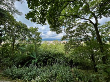 Yüksek kalite fotoğraf. Parktaki uzun ağaçlar, banklar ve patikalar. Çek Cumhuriyeti 'nin Teplice kentinde bir park.