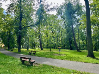 Yüksek kalite fotoğraf. Parktaki uzun ağaçlar, banklar ve patikalar. Çek Cumhuriyeti 'nin Teplice kentinde bir park.