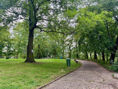 Yüksek kalite fotoğraf. Parktaki uzun ağaçlar, banklar ve patikalar. Çek Cumhuriyeti 'nin Teplice kentinde bir park.