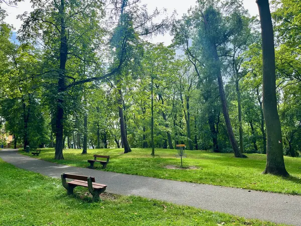 Kvalitní Fotka Vysoké Stromy Parku Lavičky Stezky Park Českém Městě — Stock fotografie