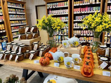 TEPLICE, CZECH REPUBLIC - 17.09.2023: Cadılar Bayramı için dekorasyon. Bahçe merkezi Dvorak ve oğlu. Yüksek kalite fotoğraf