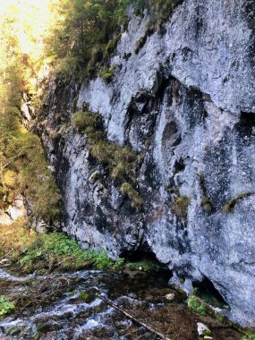 Koscieliska Vadisi, Tatry Ulusal Parkı. Yüksek kalite fotoğraf. Polands dağında sonbahar Koscielisko, Zakopane. 