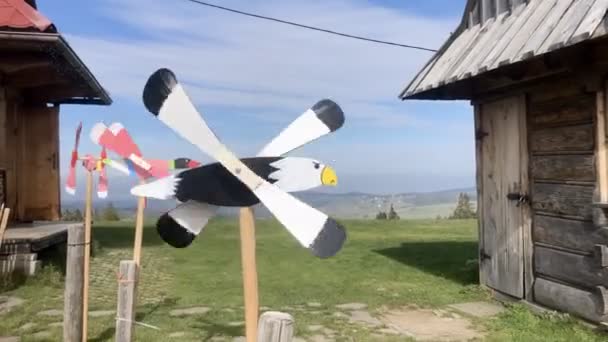 Whirligig Eagle Wooden Bird High Quality Fullhd Footage View Valley — Stock Video