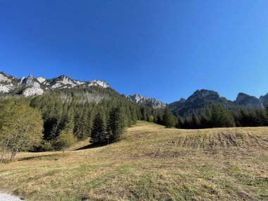 Koscieliska Vadisi, Tatry Ulusal Parkı. Yüksek kalite fotoğraf. Yol ve dağ manzarası. Polands dağında sonbahar Koscielisko, Zakopane. 