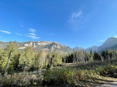 Polonya 'daki Tatra Ulusal Parkı. Morskoe Gölü oko yolu. Polonya 'da dağlarda sonbahar. Yüksek kalite fotoğraf