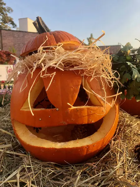 Celebration of Halloween: jack-o-lantern on tree. Halloween decor with pumpkins. Holiday decoration. Horror. Halloween smiling jack-o-lantern. Halloween mood, party.