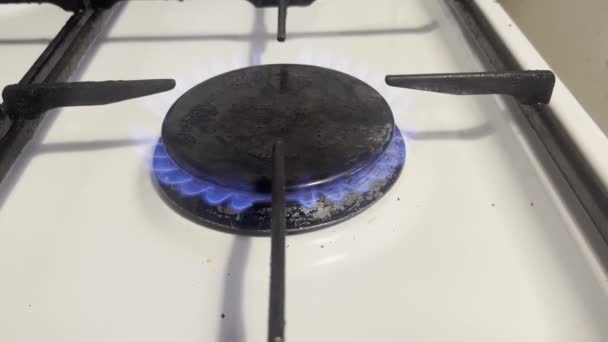 Kök Brännare Blå Gas Fire Stove Lätt Gasspis Kock Matlagning — Stockvideo