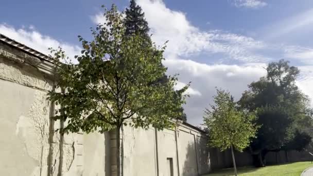 Drzewo Szeleści Liście Chmury Unoszą Się Pięknym Niebie Niedaleko Klasztoru — Wideo stockowe