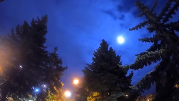 Повний Місяць Хмарами Рухається Швидко Високі Дерева Високоякісні Fullhd Кадри — стокове відео
