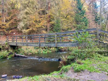 Kamenice Nehri 'ndeki Dolsky su değirmeni, Jetrichovice bölgesi, Çek İsviçre, Çek Cumhuriyeti. Yüksek kalite fotoğraf