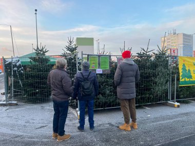 Teplice, Çek Cumhuriyeti - 29.11.2023: İnsanlar Noel ağacı pazarında fiyatlara bakıyorlar. Yüksek kalite fotoğraf