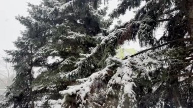 Kış öyküsü: Pencerenin dışındaki kar yağışı şehri görkemli bir kar örtüsü ve beyaz örtüye çevirir. Kış hissi: Kertenkele ve kar yağışı soğuk ve kış atmosferleri ekler. 