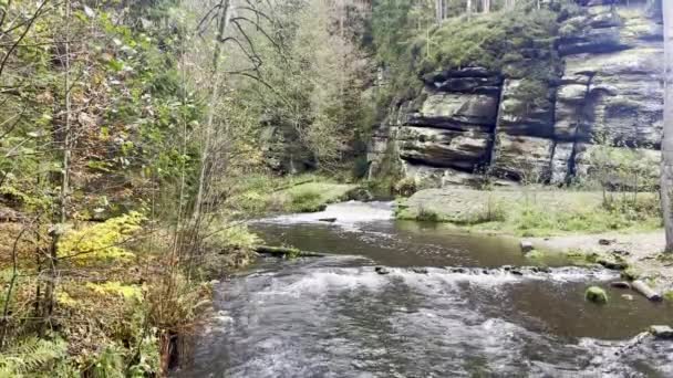Река Небольшим Водопадом Чешском Национальном Парке Швейцарии Рядом Старым Разрушенным — стоковое видео