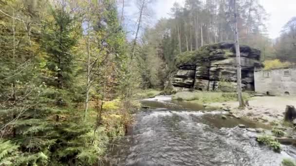 Río Con Una Pequeña Cascada Parque Nacional Suiza Checa Cerca — Vídeo de stock