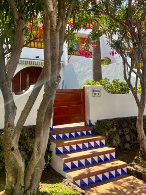 The entrance to the Canary Villa. Colorful steps. Trees and flowers. High quality photo