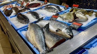 Süpermarkette buzlu deniz ürünleri. Farklı balıklar. Tenerfie. İspanya. Yüksek kalite fotoğraf