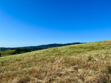 Toskana tarlası. Yaz zamanı. İnanılmaz mavi gökyüzü. Şehir çevresi Piazze ve Cetona. Yüksek kalite fotoğraf