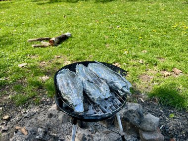 Folyoda ızgara balık. Güneşli havada piknik. Açık hava yemekleri. Yüksek kalite fotoğraf