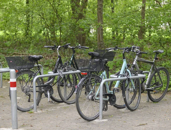 Vélos Dans Parc — Photo